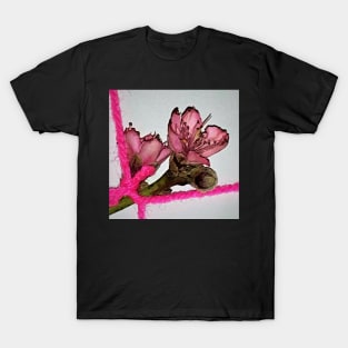 Tied Peach Blossom T-Shirt